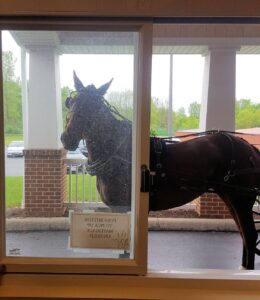 photo of horse at the pick-up window