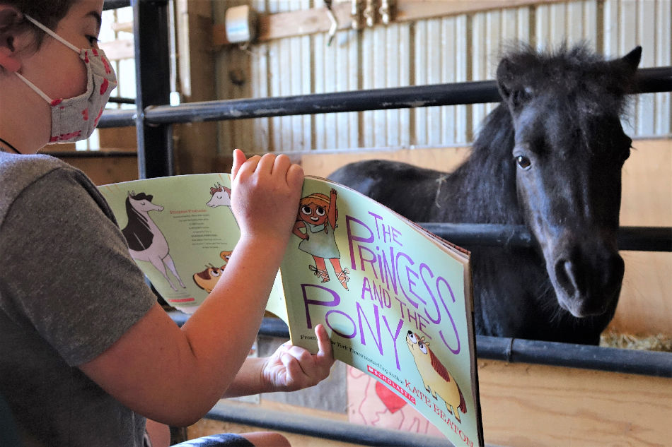 photo of child reading book to horse
