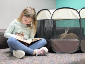 Girl reading book to bunny at library