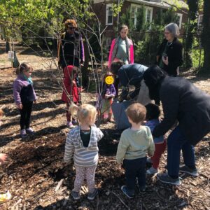 children helping to plant a tree at library
